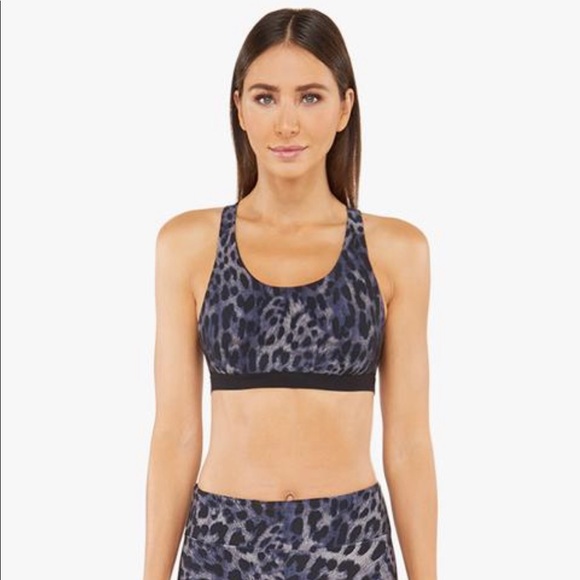 Koral - Tax Cheetara Sports Bra BRAND NEW - Picture 1 of 3